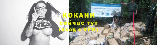 прущая мука Козловка