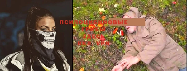 прущая мука Козловка