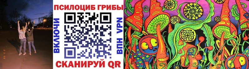 Купить  Богданович  Псилоцибиновые грибы MAGIC MUSHROOMS 
